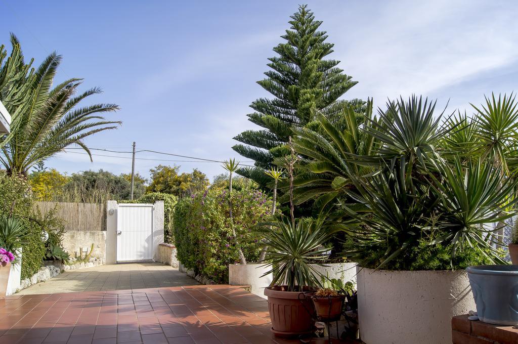 Villa Cetta B&B San Leone Extérieur photo