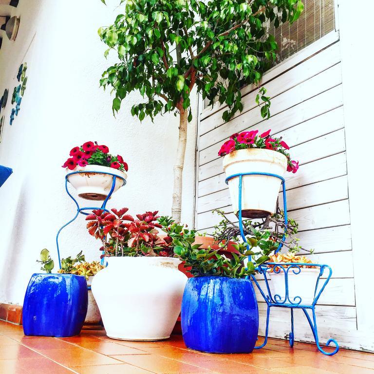 Villa Cetta B&B San Leone Extérieur photo